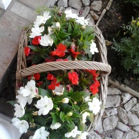 Guesthouse Tomas Catrnja Екстер'єр фото