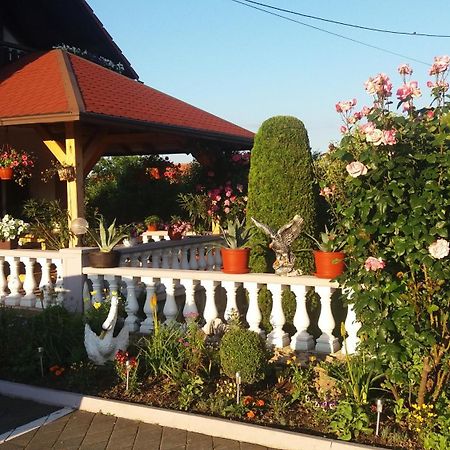Guesthouse Tomas Catrnja Екстер'єр фото