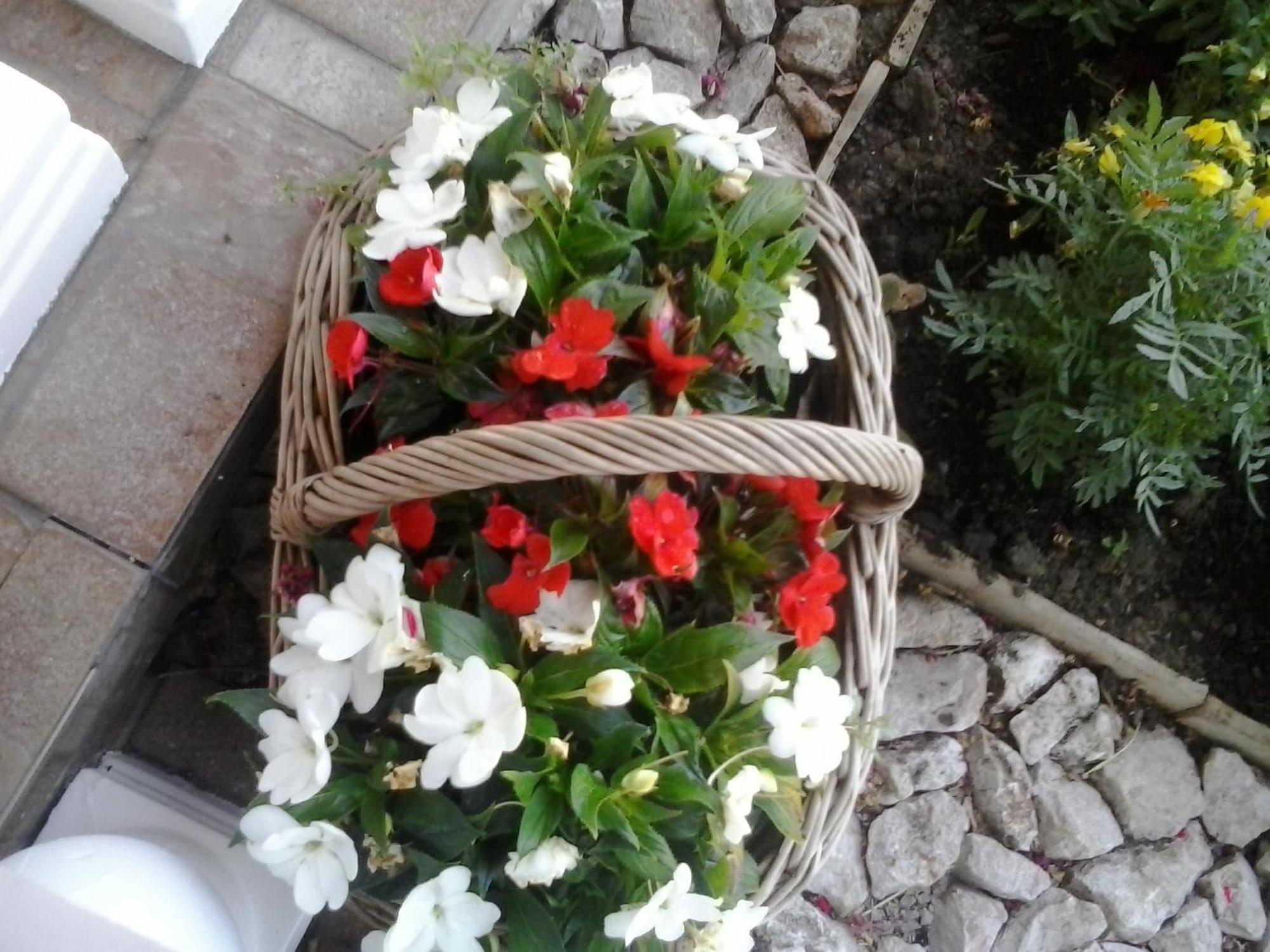 Guesthouse Tomas Catrnja Екстер'єр фото