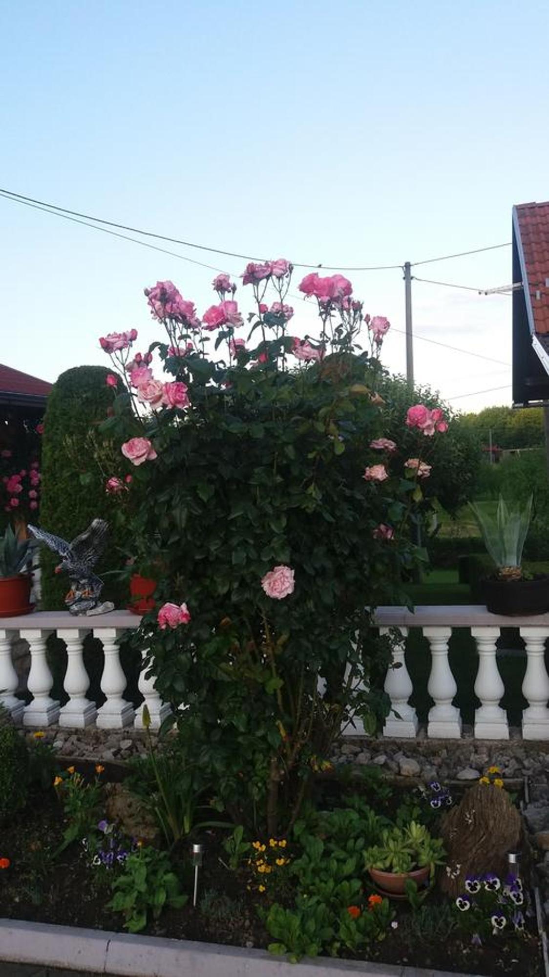 Guesthouse Tomas Catrnja Екстер'єр фото