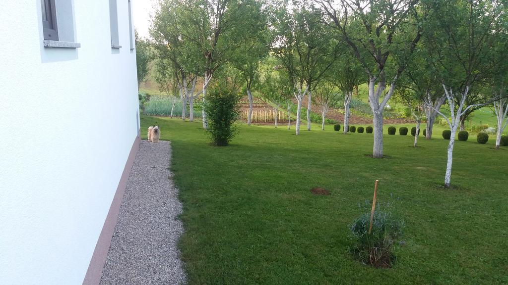 Guesthouse Tomas Catrnja Екстер'єр фото